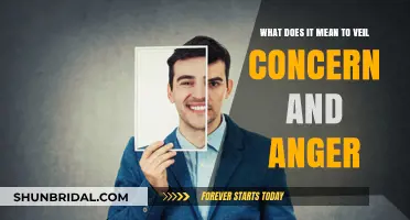 Concealing Emotions: Unveiling the Hidden Meanings of Veiled Concern and Anger