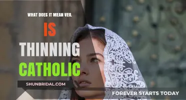The Thinning Veil: Catholic Perspectives on the Spiritual Realm