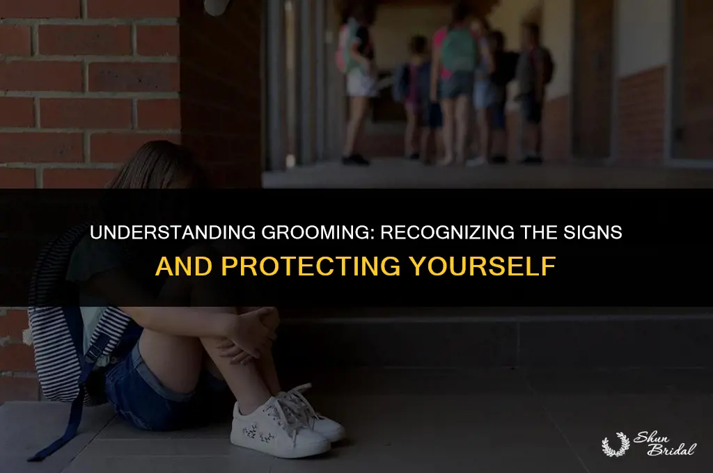 what does it mean when someone grooms you