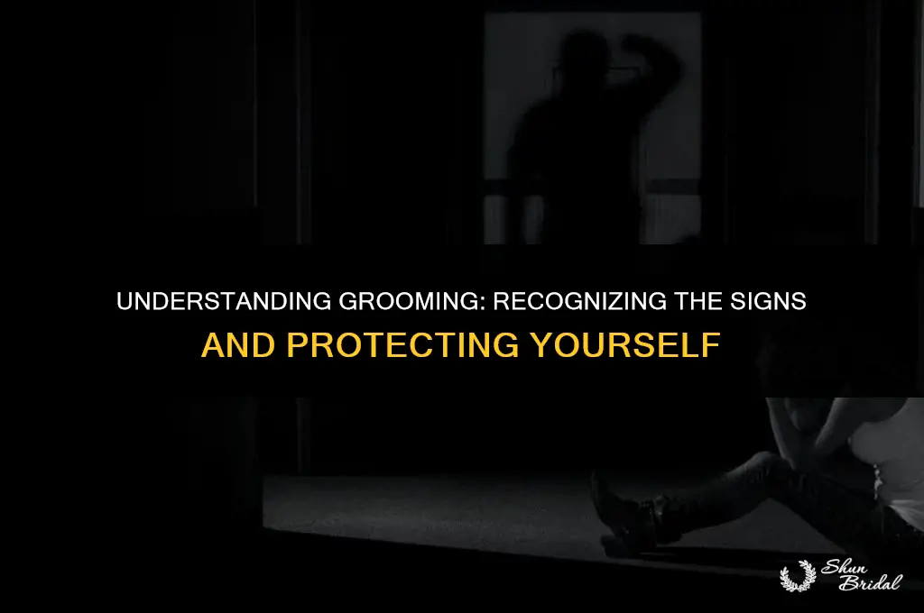 what does it mean when someone is grooming you