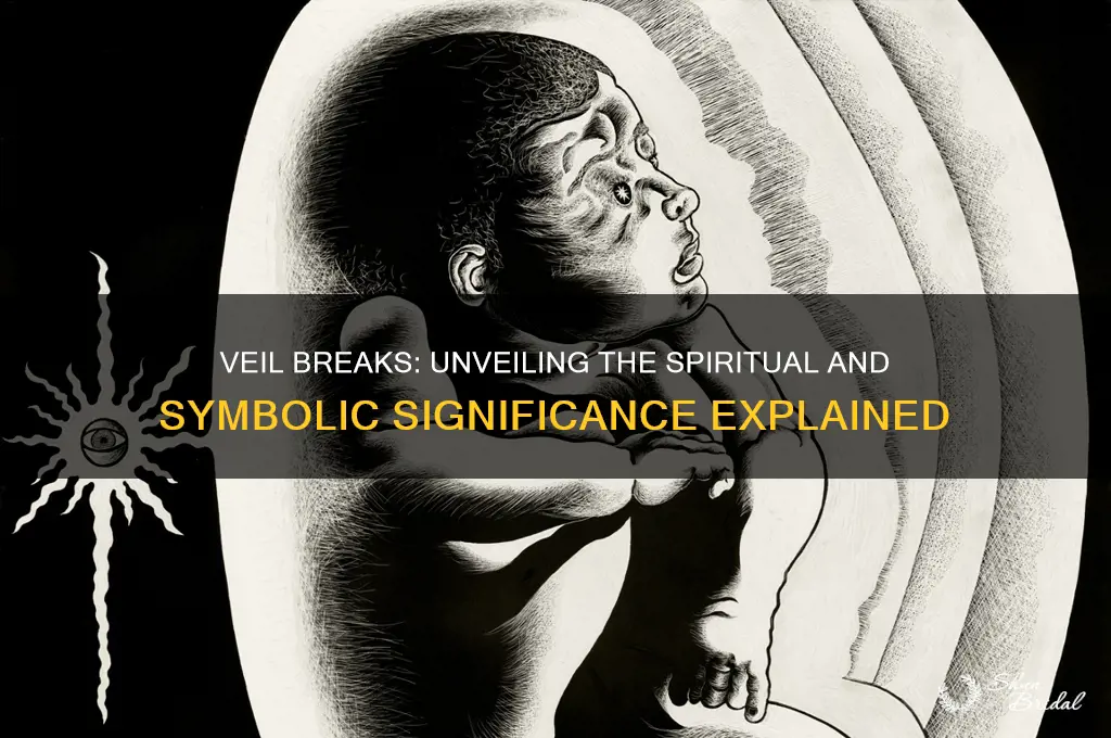 what does it mean when the veil breaks
