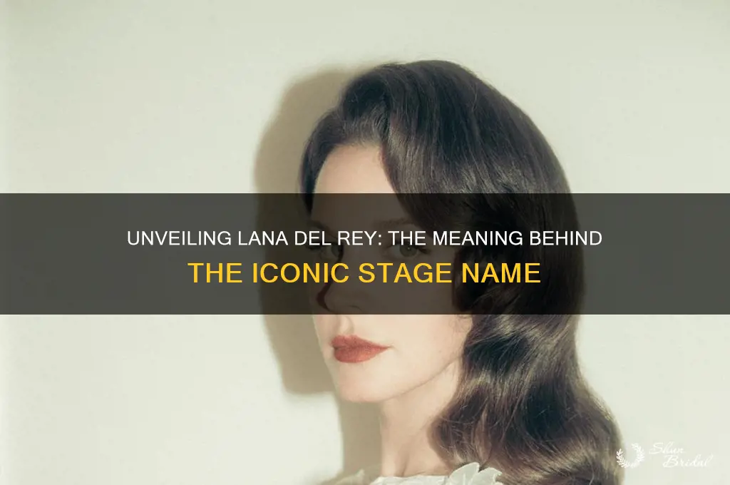 what does lana del rey mean