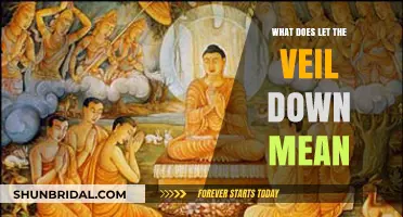 Unveiling the Meaning: Understanding 'Let the Veil Down' in Depth