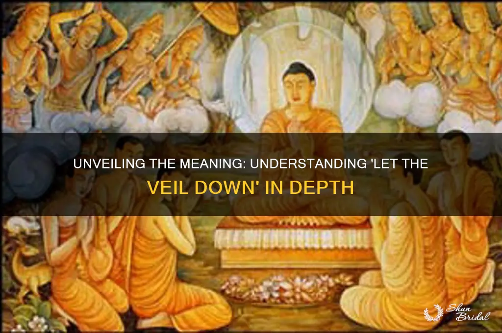 what does let the veil down mean