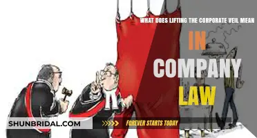 Unveiling Corporate Veil: Understanding Its Legal Implications in Company Law