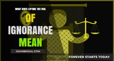 Understanding the Veil of Ignorance: A Key to Fair Decision-Making