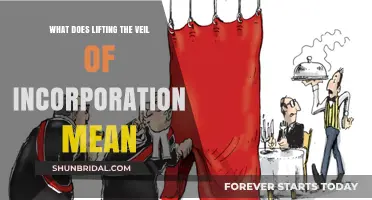 Lifting the Veil of Incorporation: Understanding Corporate Liability and Personal Responsibility