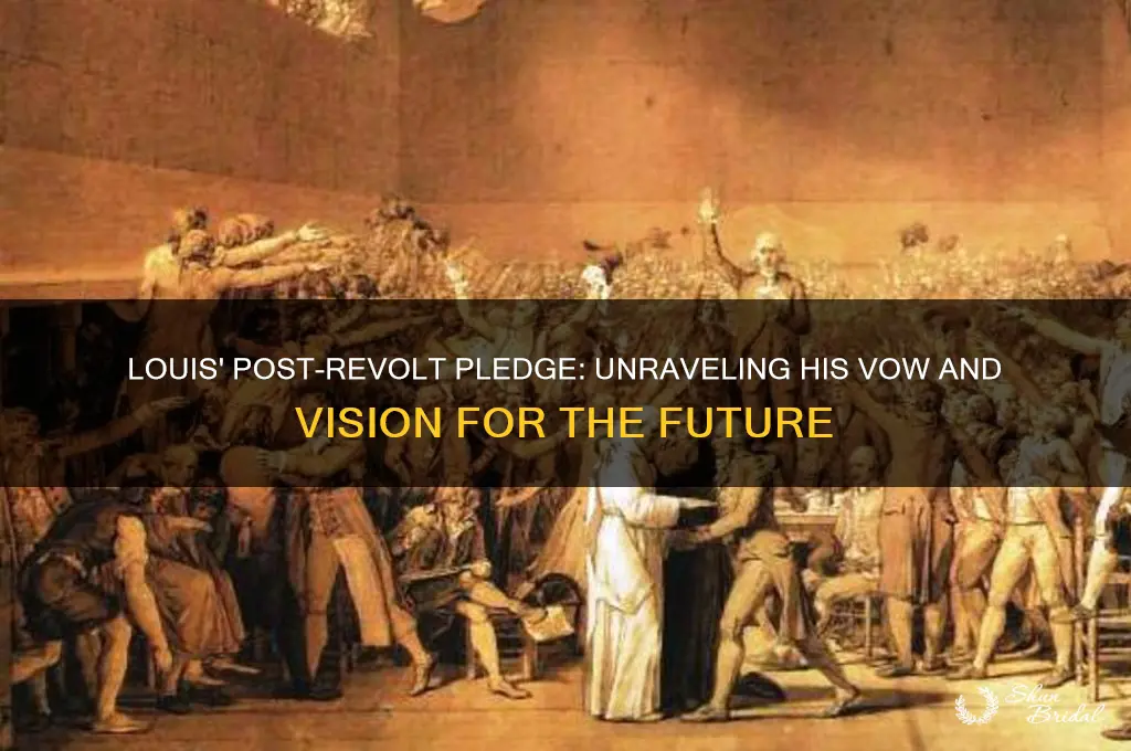 what does louis vow after this revolt