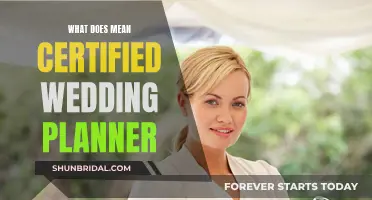 The Ultimate Guide to Certified Wedding Planners