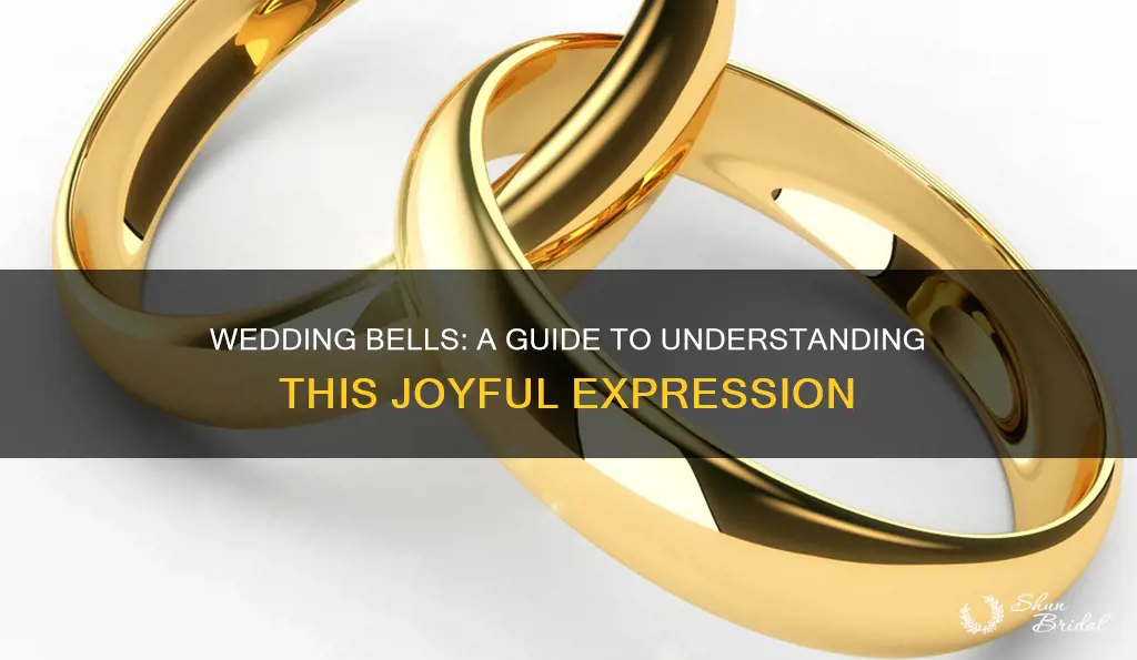 what does mean wedding bells