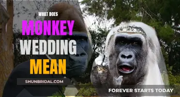 Monkey Wedding": A Curious Weather Phenomeno