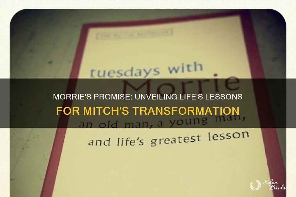 what does morrie vow to show mitch