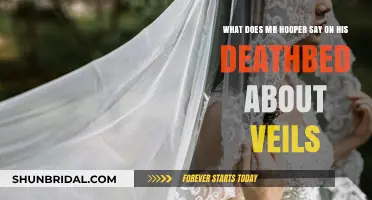 Mr. Hooper's Deathbed Revelation: The Symbolic Meaning of Veils