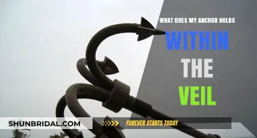 Unveiling the Mystery: What My Anchor Holds Beyond the Veil