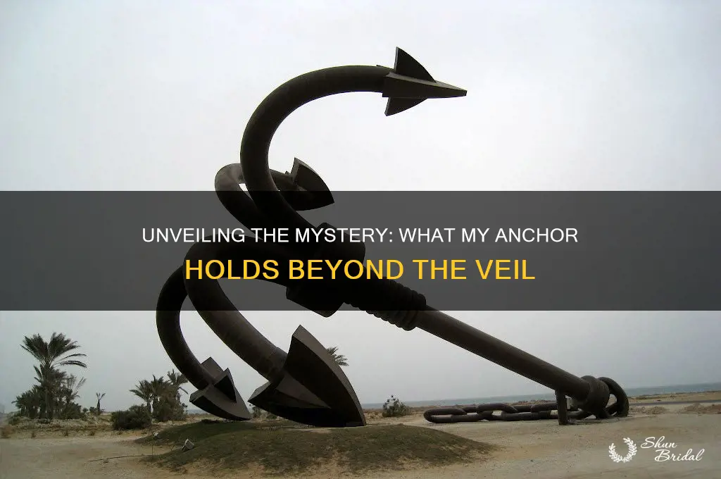 what does my anchor holds within the veil