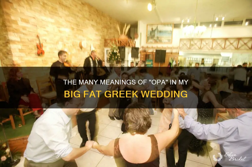 what does opa mean in my big fat greek wedding