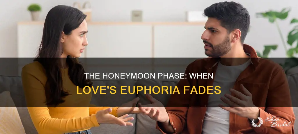 what does passed the honeymoon phase means
