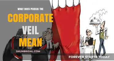 Piercing the Corporate Veil: Understanding Legal Consequences for Business Owners