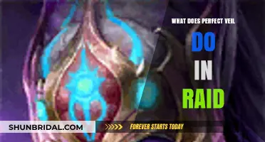Perfect Veil's Raid Role: Enhancing Survival and Team Synergy Explained