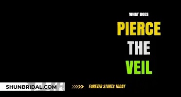 Understanding 'Pierce the Veil': Corporate Liability and Legal Implications Explained