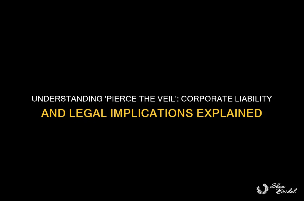 what does pierce the veil
