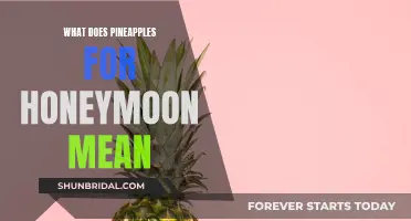 Honeymoon Pineapples: A Sweet Tradition Explained