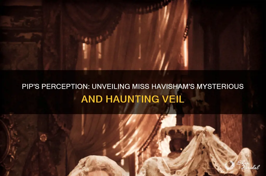 what does pip think miss havisham