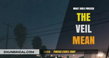 Pierced the Veil: Unveiling the Meaning Behind the Phrase