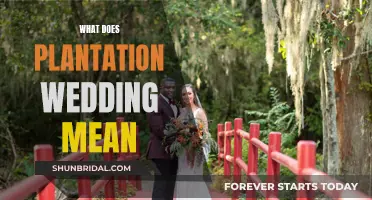 Plantation Weddings: Exploring the History and Controversy