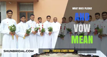Understanding the Difference: Pledge vs. Vow Explained Simply