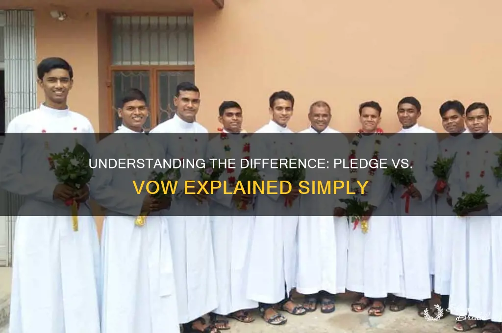 what does pledge and vow mean