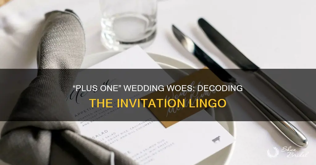 what does plus one mean at a wedding