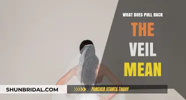 Unveiling the Mystery: Understanding 'Pull Back the Veil' Meaning