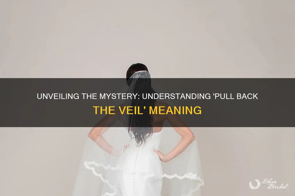 what does pull back the veil mean