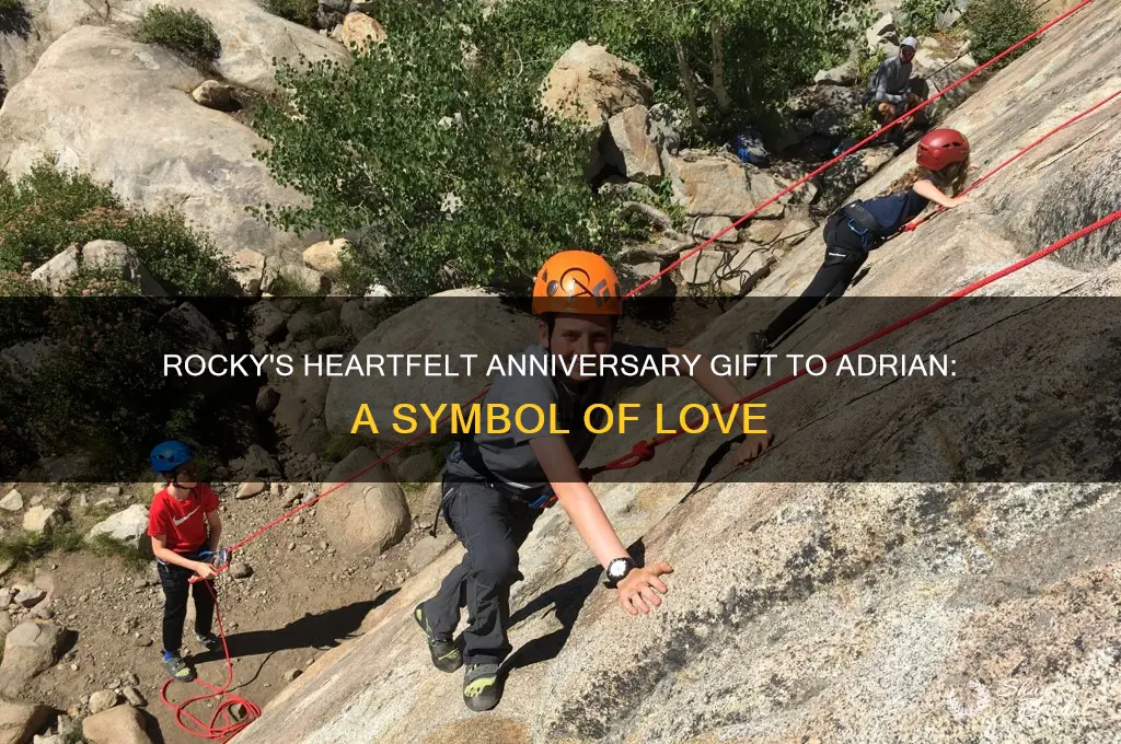 what does rocky give adrian on their wedding anniversary