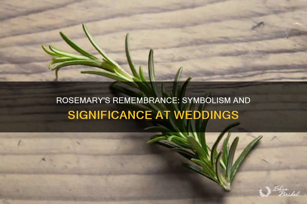 what does rosemary mean at a wedding