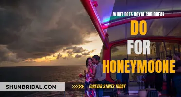 Honeymooners' Royal Caribbean Cruise: What to Expect