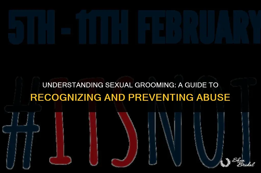 what does sexual grooming mean