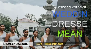 Silver Wedding Dresses: What's the Meaning?