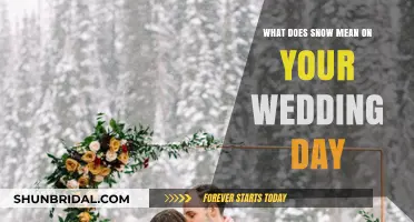 Snowy Wedding Day: Symbolism, Superstitions, and Romantic Meanings Explained