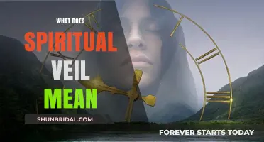 Understanding the Spiritual Veil: Meaning, Symbolism, and Significance Explained