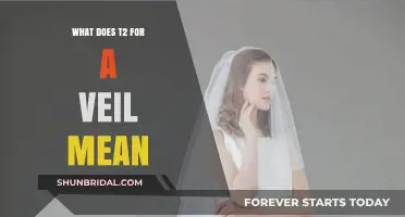 Understanding T2 Veil Classification: Meaning, Significance, and Bridal Style Guide