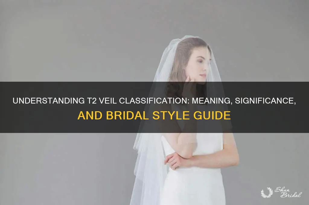 what does t2 for a veil mean