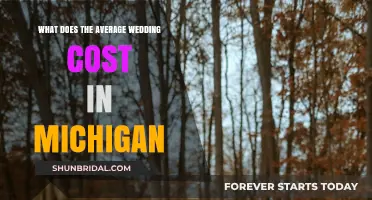Michigan Wedding Costs: Unveiling the Average Price Tag for Your Big Day
