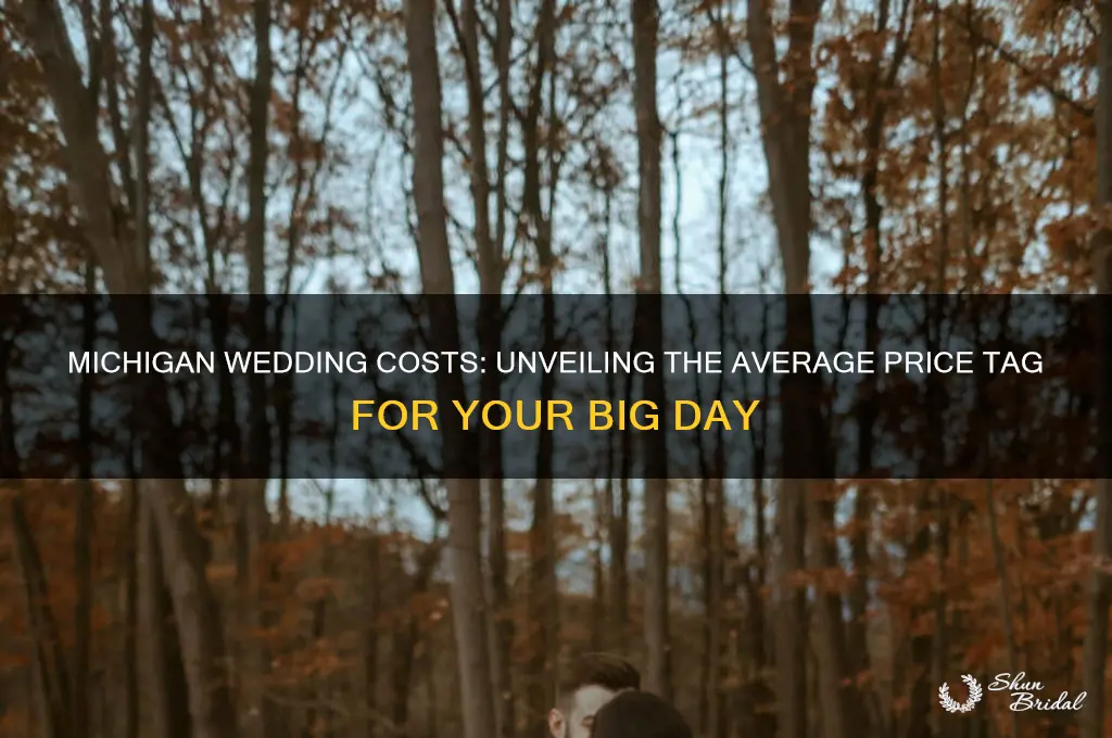 what does the average wedding cost in Michigan