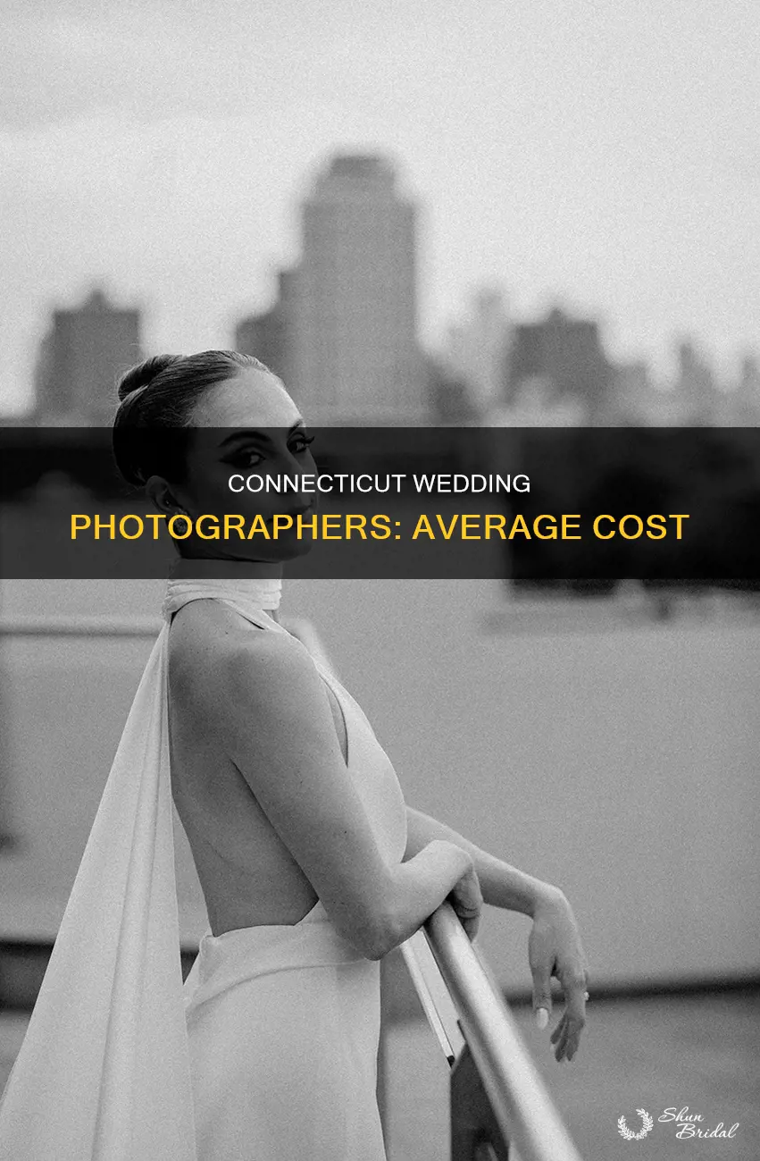 what does the average wedding photographer cost in connecticut