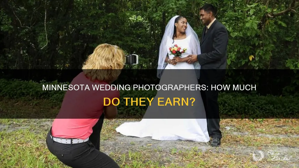 what does the average wedding photographer in mn make