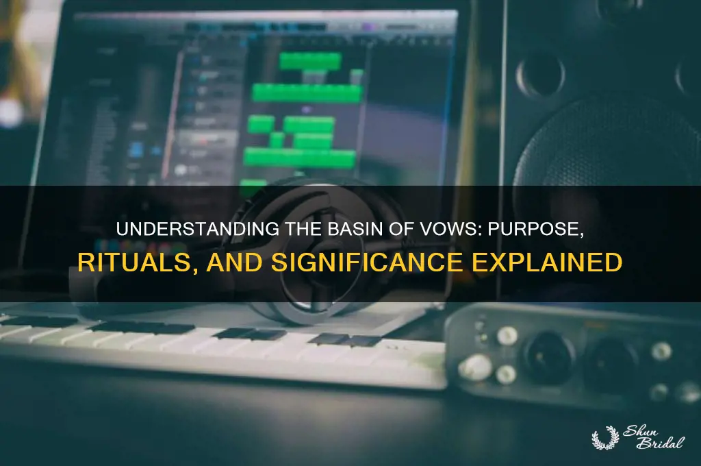 what does the basin of vows do