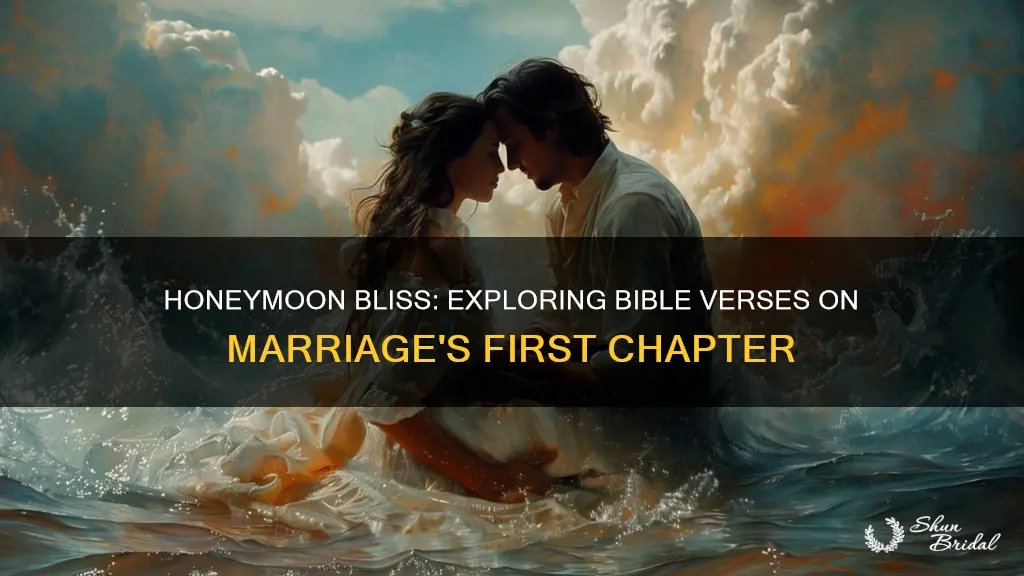 what does the bible say about honeymoon