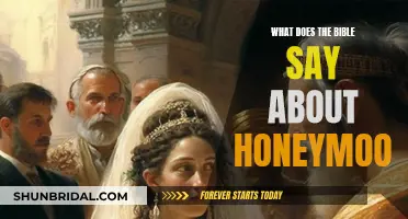 The Bible's Ancient Wisdom on Honeymoon Bliss